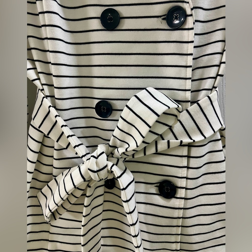 Striped Belted Jacket - Picture 2 of 6